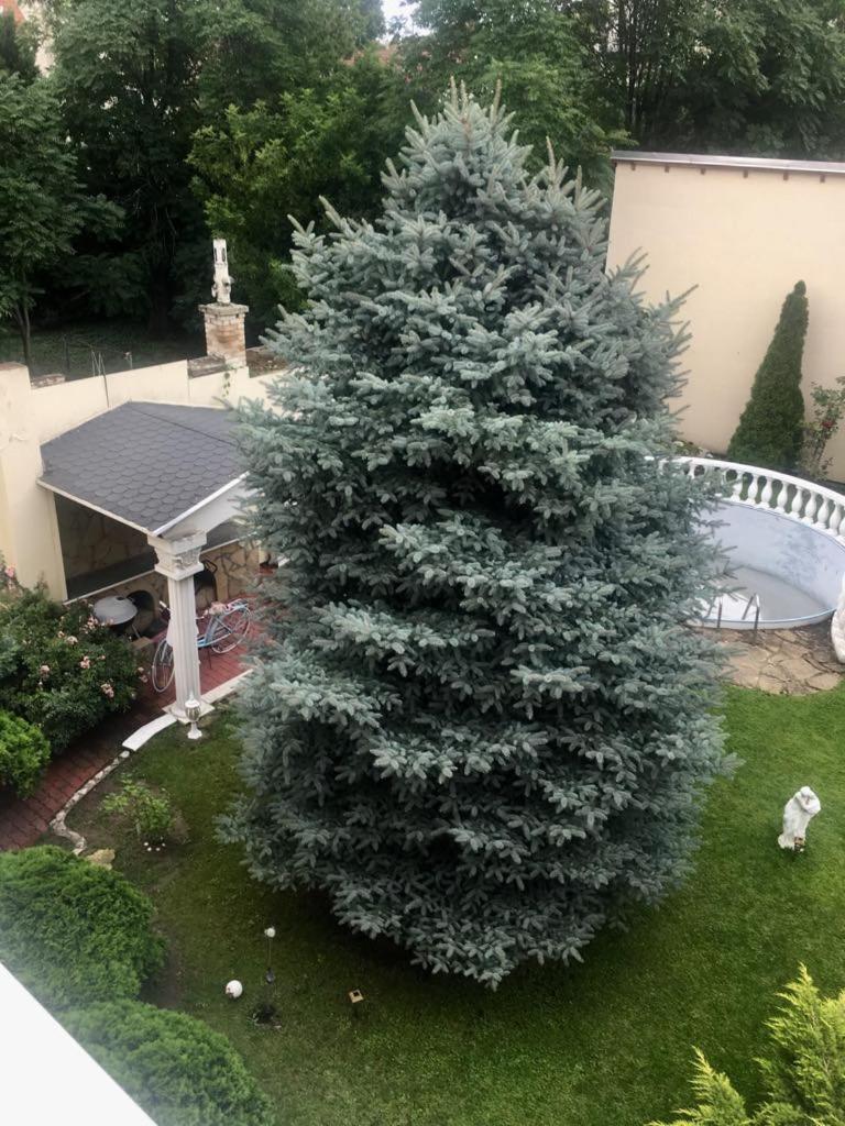 Adam Apartmanhaz Apartmán Szeged